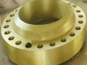 GB/T9120-2000对焊环板式松套钢制管法兰