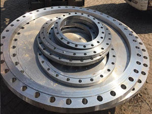 HG20623-2009大直径钢制管法兰