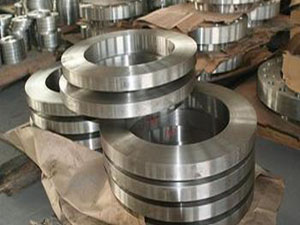 BS Stainless Steel Welding Neck Flange