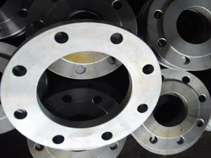 Wn Flange (300lbs ansi ss316)